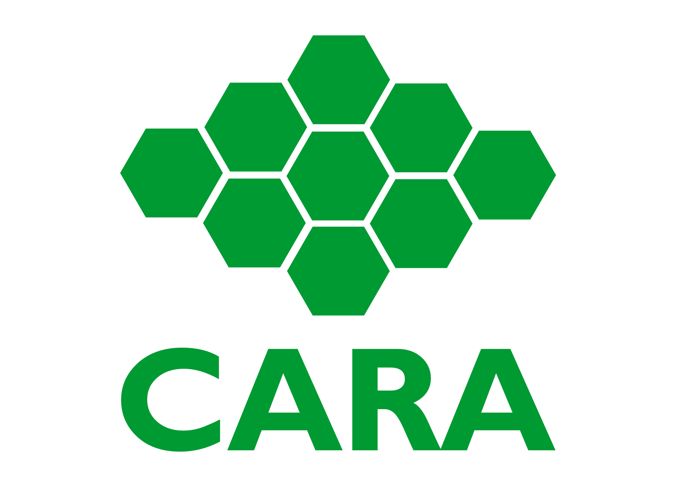 CARA Development Foundation